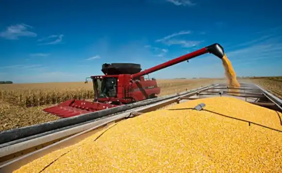 Extendieron la baja de retenciones para el trigo y la cebada hasta finales de marzo del 2026