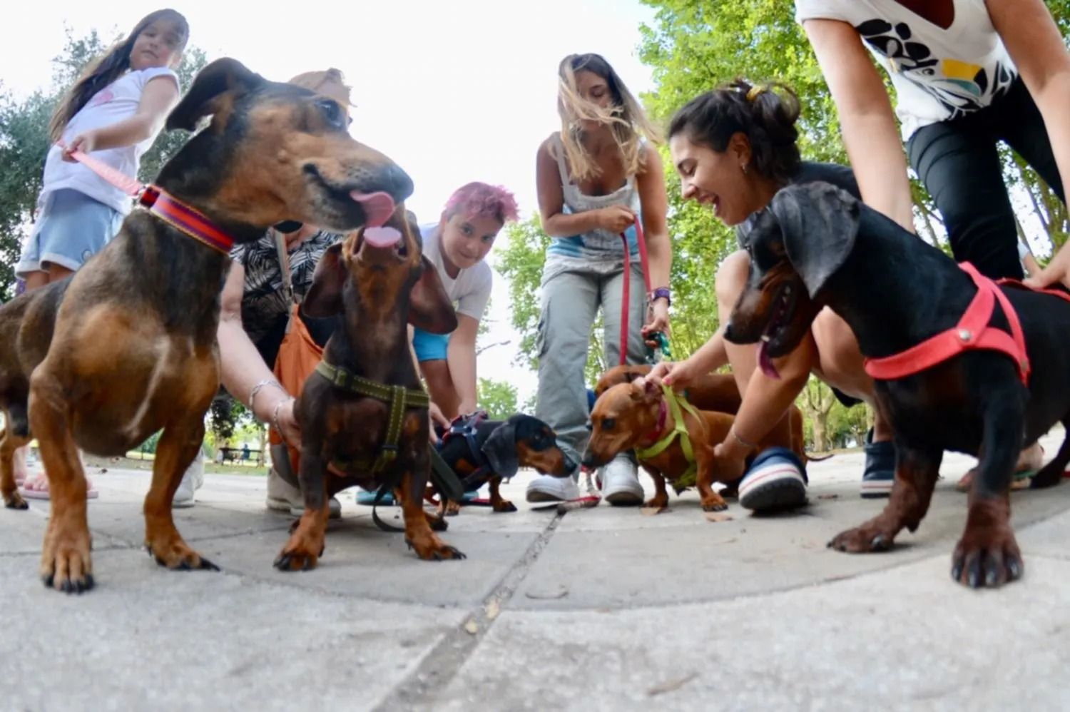 Se viene un "Salchi Encuentro" en el Jardín Botánico