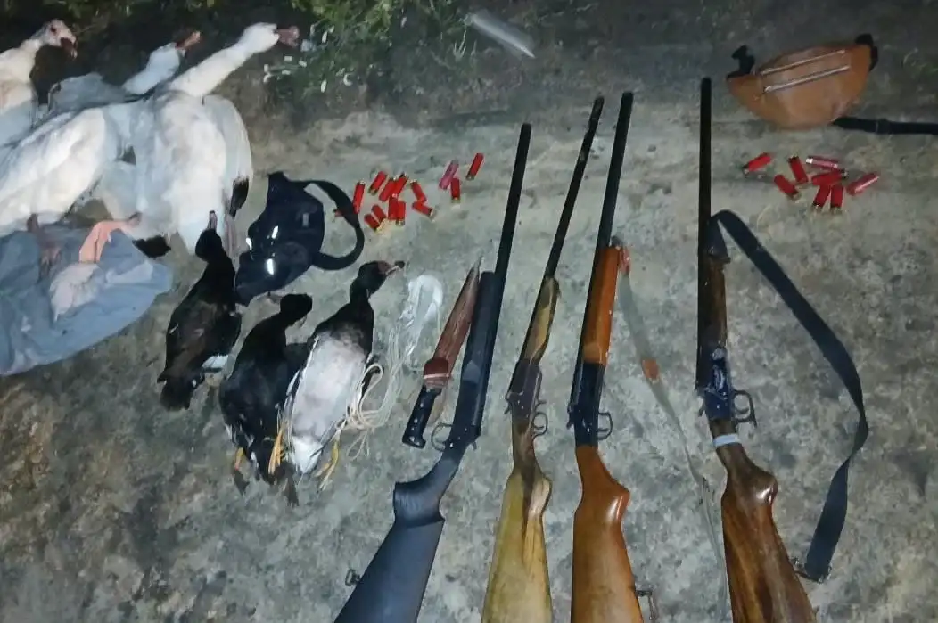 Escucharon disparos en una zona rural y encontraron a 3 hombres cazando: secuestraron escopetas y aves muertas - 1