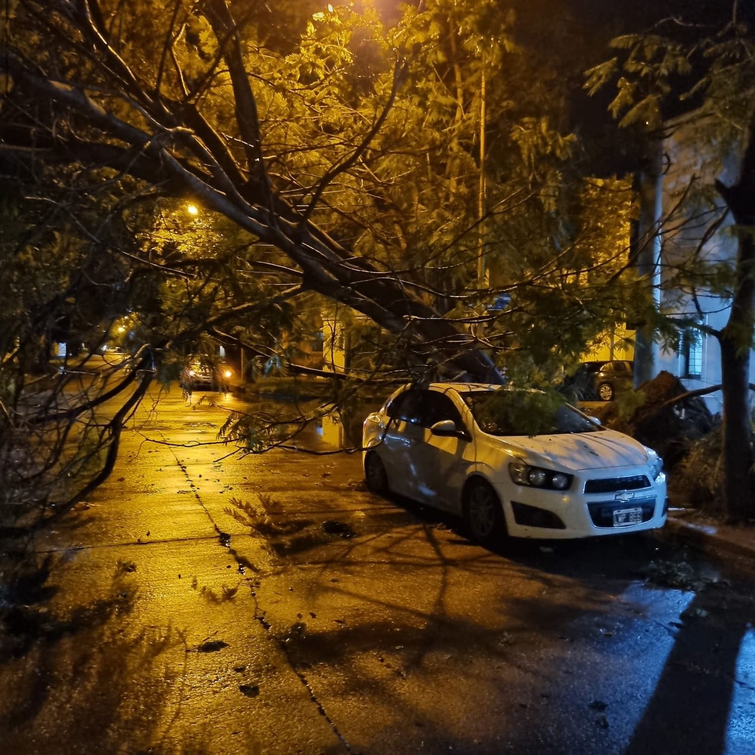 temporal en san francisco