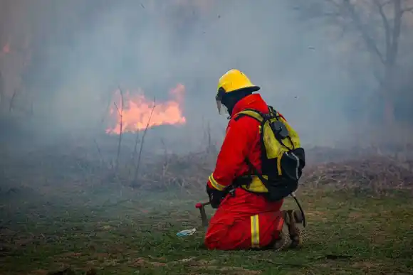 Brigadistas santafesinos lograron contener los focos ígneos en islas entrerrianas