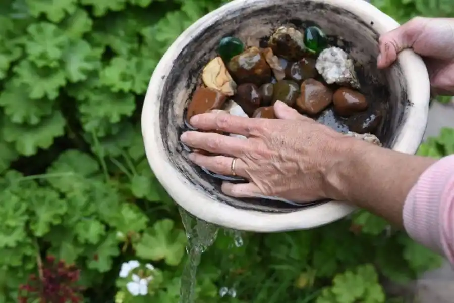 Combatir al dengue es una tarea de todos