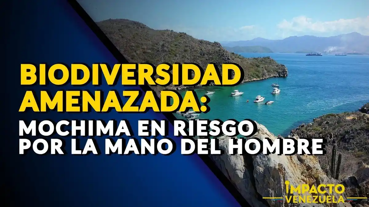 BIODIVERSIDAD AMENAZADA: Mochima en riesgo por la mano del hombre