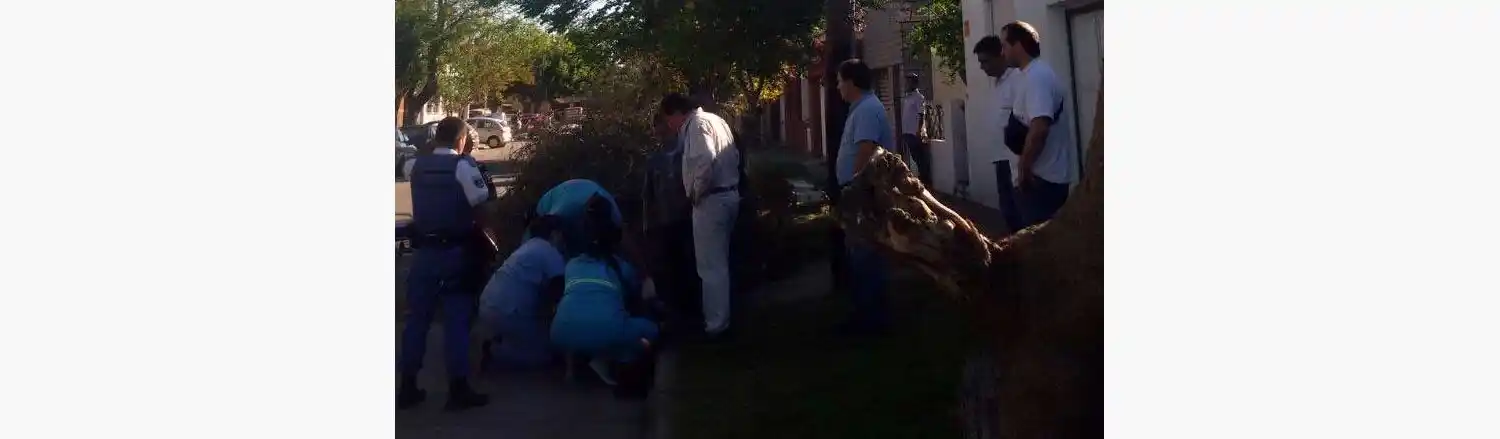 Cayó de poste de siete metros mientras reparaba una línea telefónica