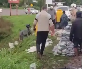 Vecinos saquearon el camión volcado con 20 toneladas de arroz