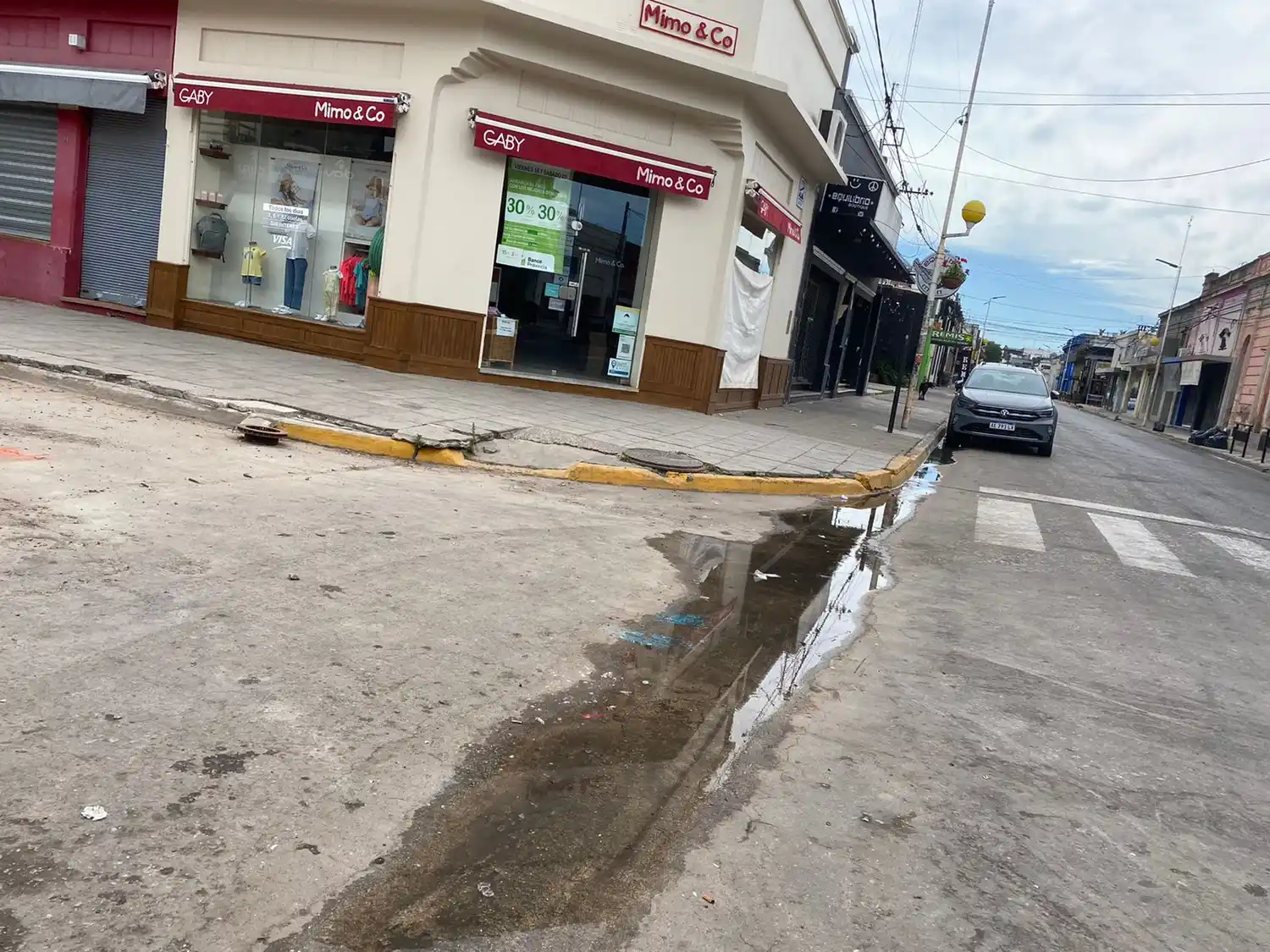 Reclamo por pérdida de agua en calle Pellegrini