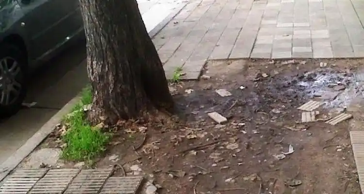 Cuento del tío: Le pidió $ 200 para arreglar la vereda y no apareció más