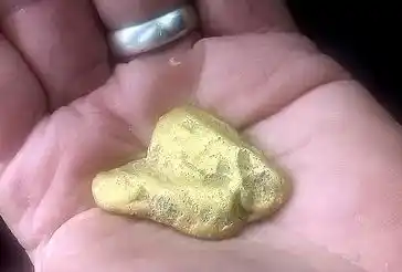 Dividirá las ganancias de la subasta con el propietario del terreno.