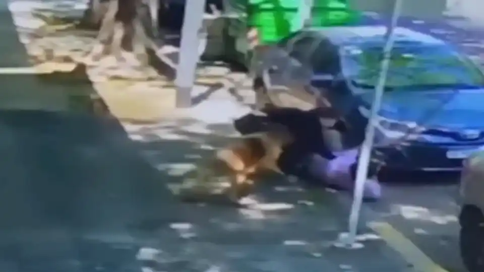 Agredió a palazos a un hombre porque le reclamaba que juntara la caca de su perro