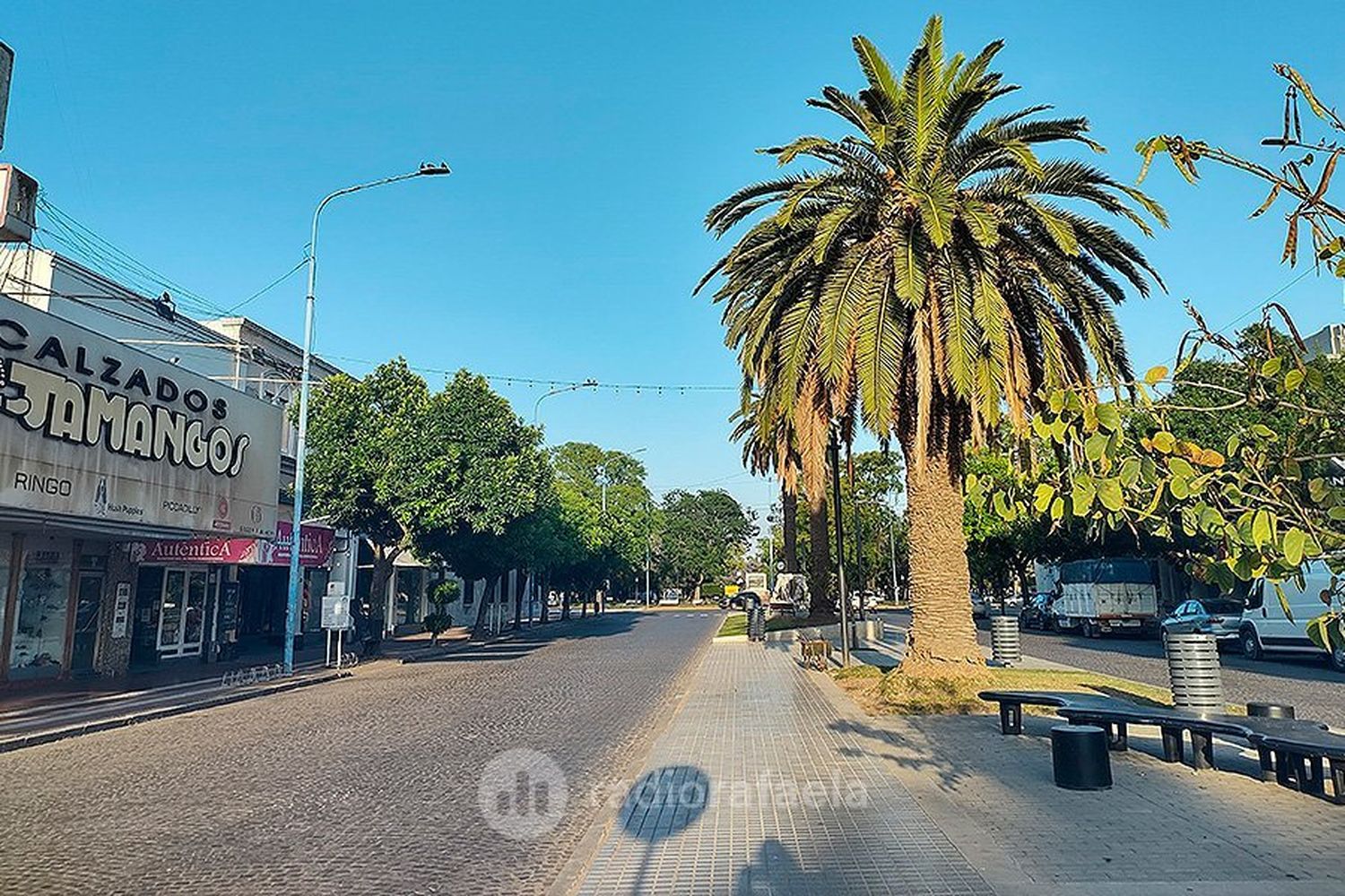 Día soleado y despejado: así estará el clima en la ciudad