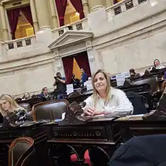 Como votaron los diputados entrerrianos la reforma previsional