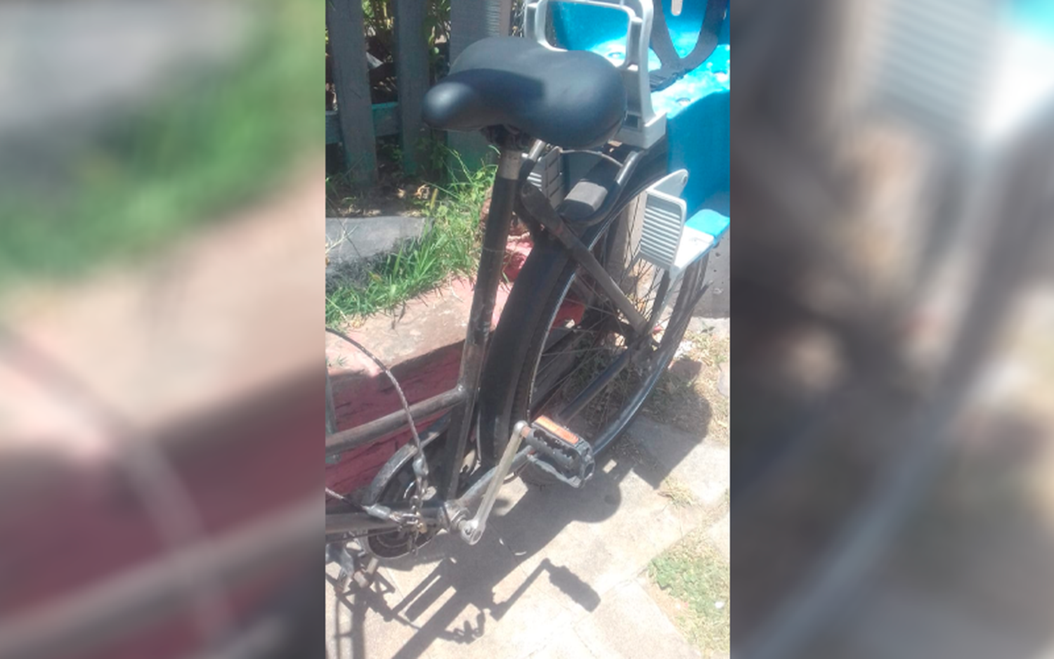 Vivero Viejo Matías: “Que vengan a buscar la bici, o tenemos que cortar el candado”