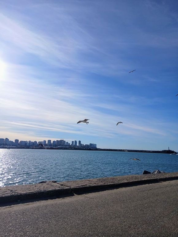 Sol entre nubes y sin lluvias: jornada primaveral en Mar del Plata