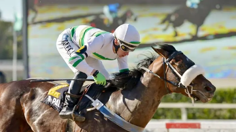 Sábado 13: Actividad Hipódromo de Palermo