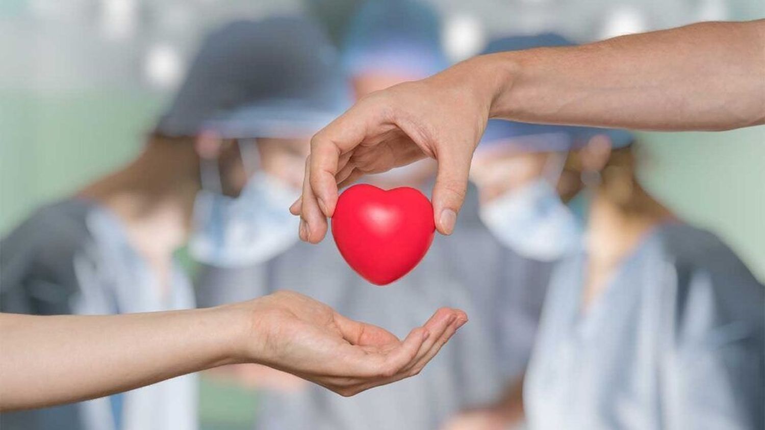 Hoy se conmemora el Día Internacional de la Donación de Órganos, Tejidos y Trasplantes