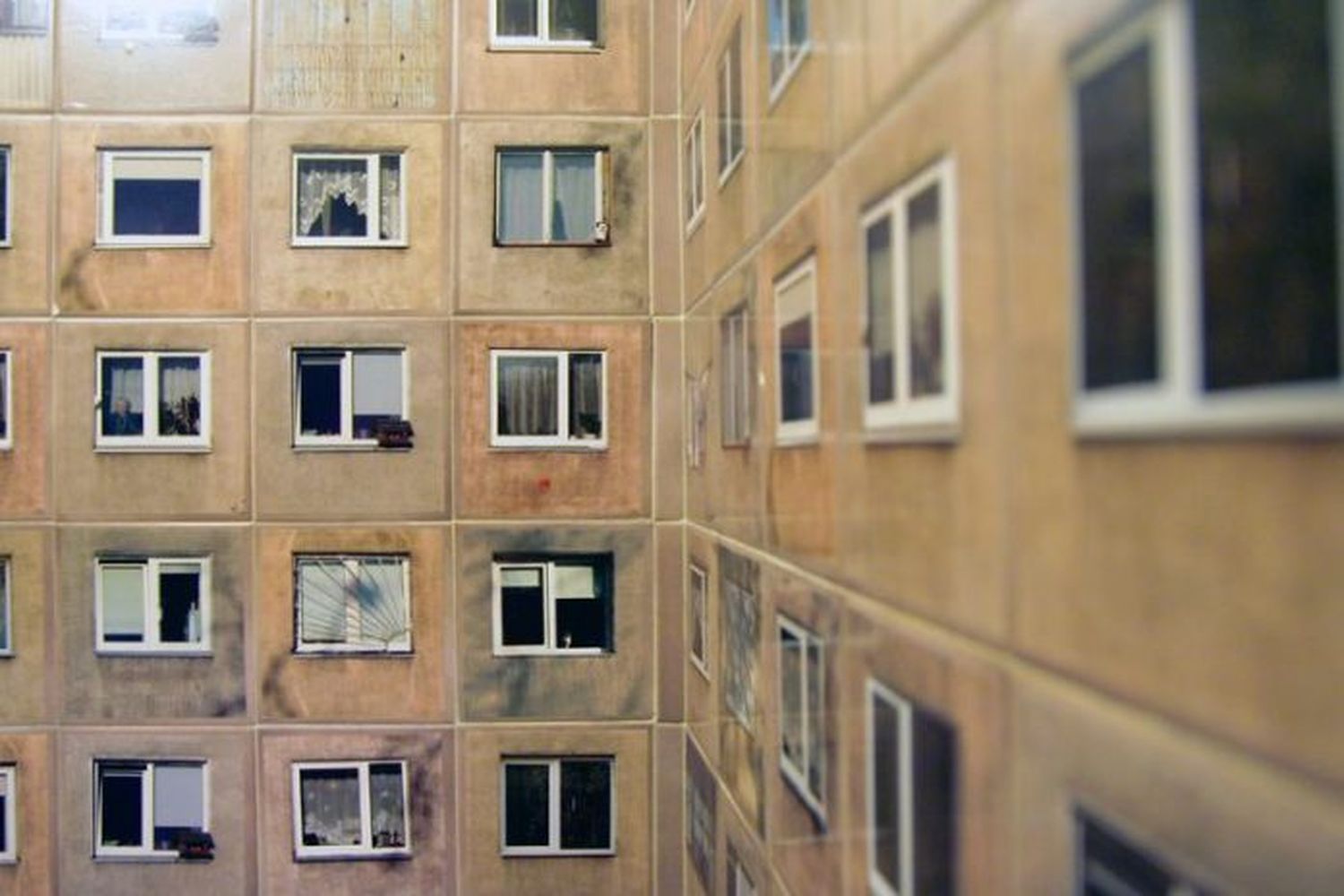 baño que observa