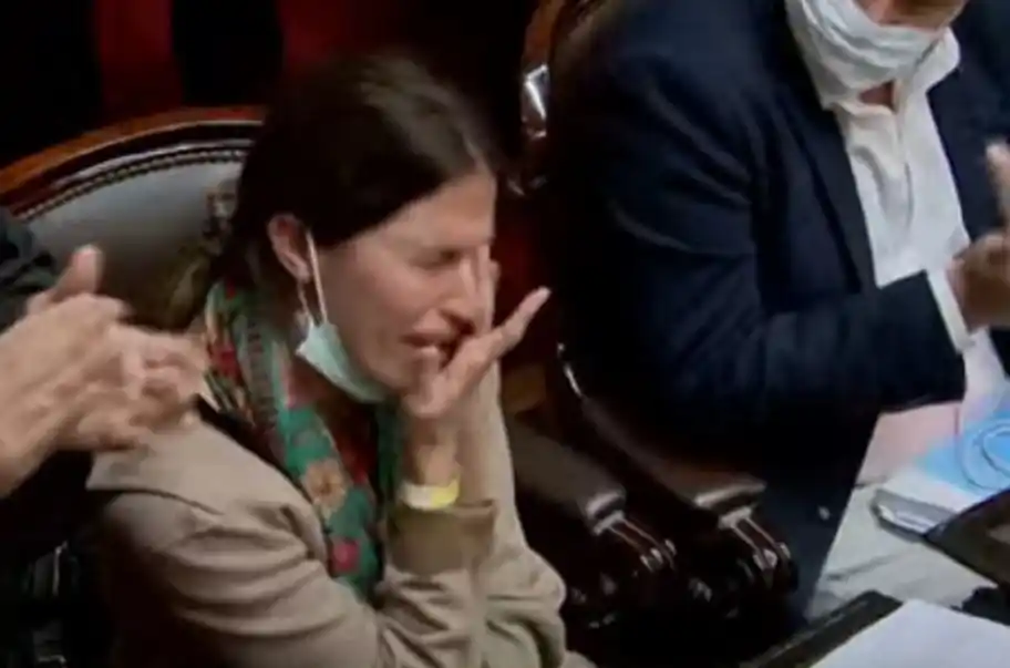 Quién es la diputada que perdió un hijo, tiene a otro internado y fue homenajeada en el recinto