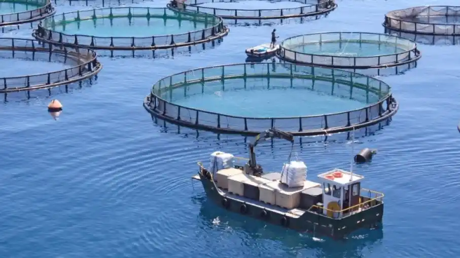 Entre Ríos adhirió a la Ley nacional de promoción de la acuicultura