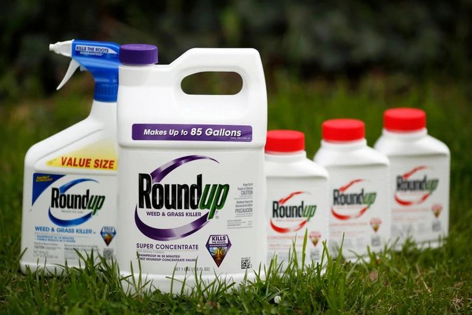 Monsanto deberá pagar más de US$2.000 millones por su herbicida con glifosato