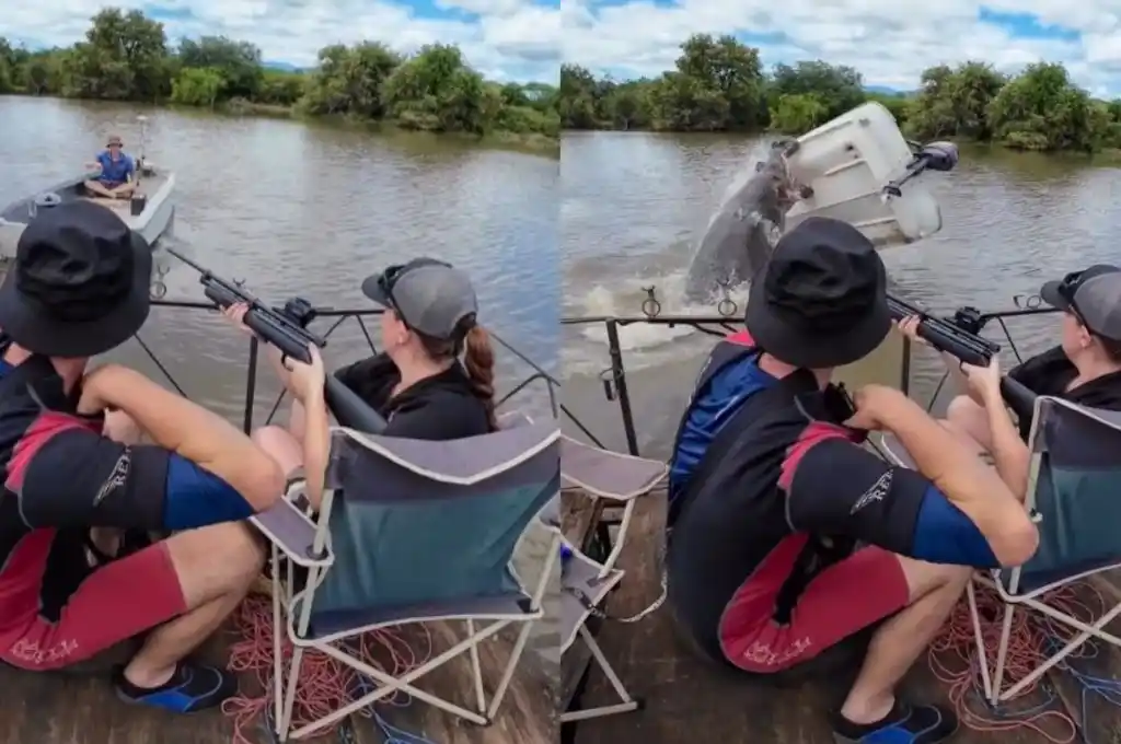 Hipopótamo atacó una lancha