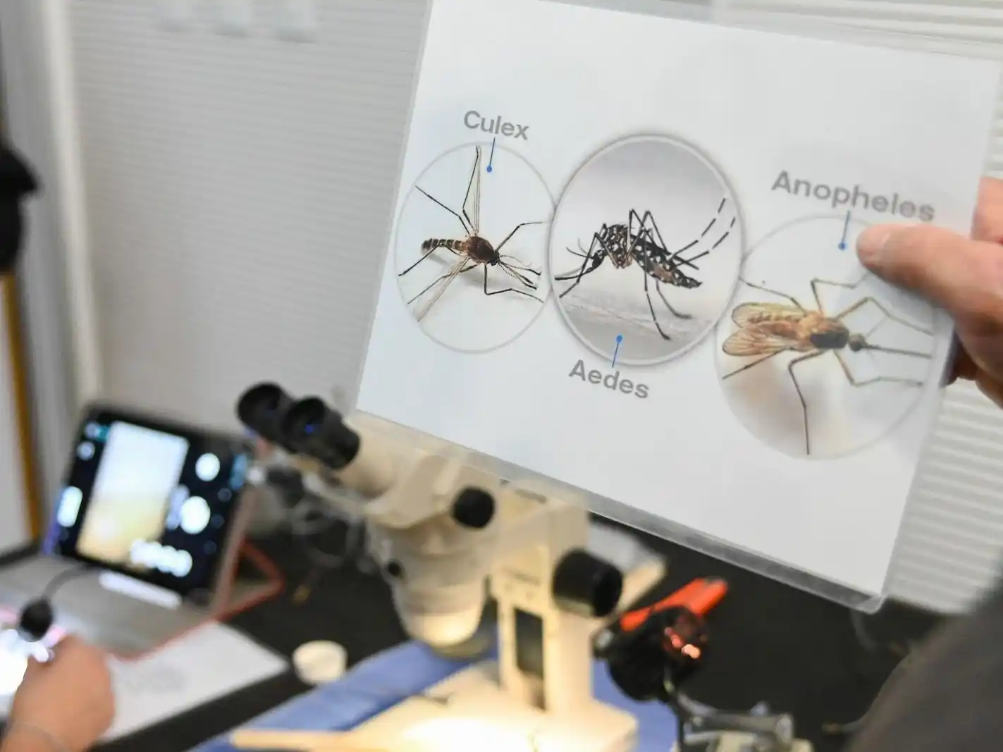 Importantes avances para prevenir posibles brotes.