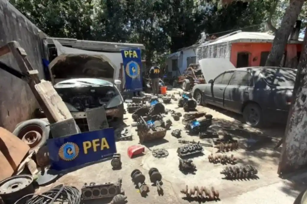 Desbaratan un desarmadero en San Clemente del Tuyú