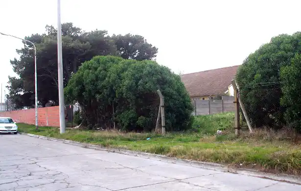 Una empresa presentó oferta para construir el CAP Fucile