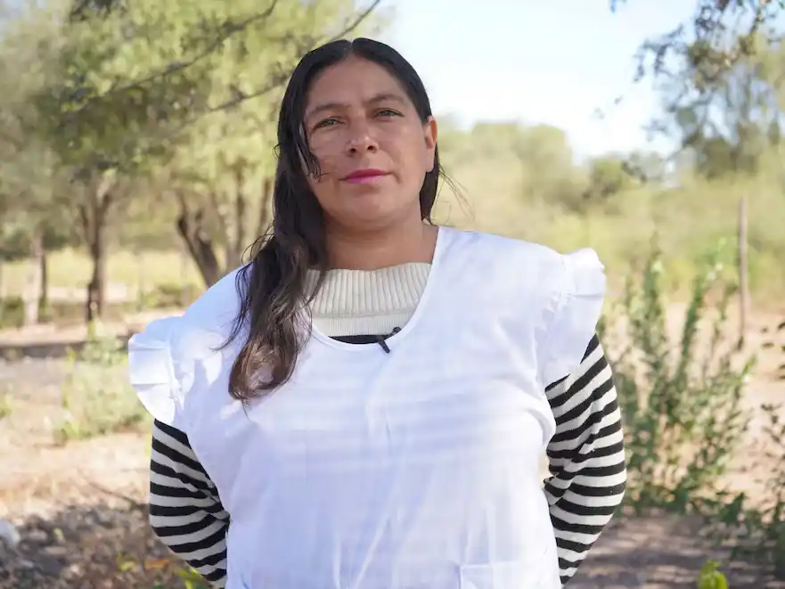 Una docente chaqueña es candidata para ser la mejor docente del mundo: su historia de resiliencia
