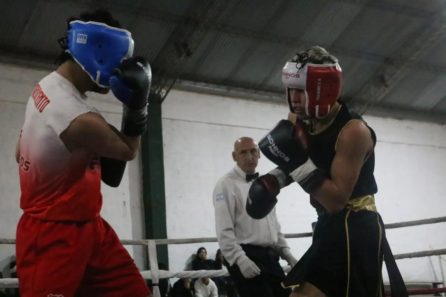 Con 8 peleas amateurs, el Polideportivo Norte será escenario de una nueva velada boxística