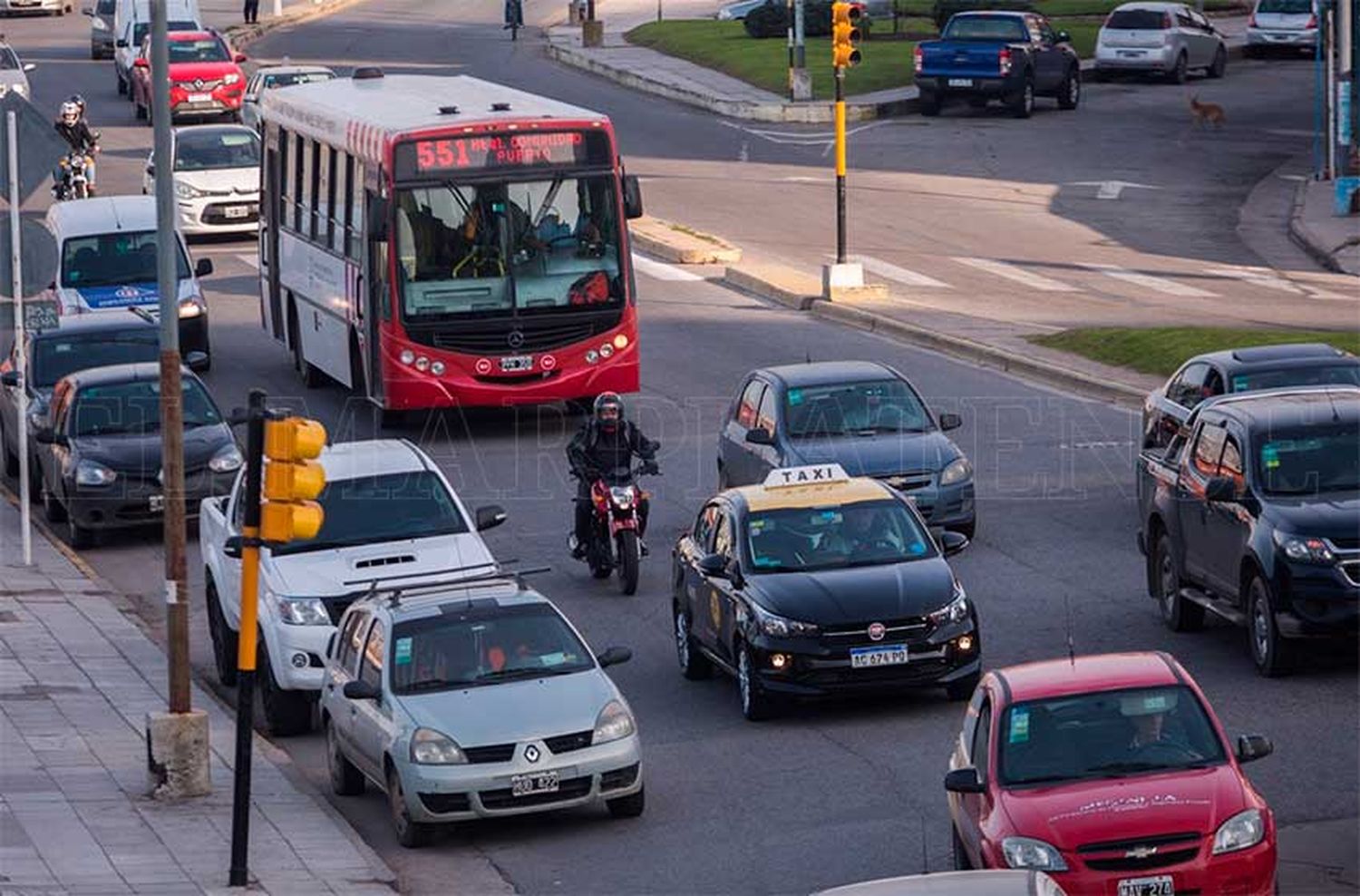 En medio del conflicto, este jueves se restablece el servicio de colectivos en Mar del Plata