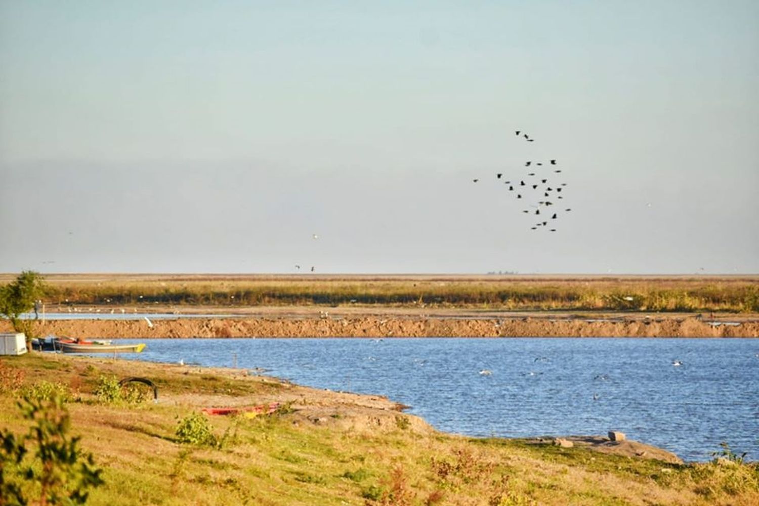 Ingresó al Congreso nacional un proyecto que propone la creación de la Reserva Nacional Humedales del Paraná