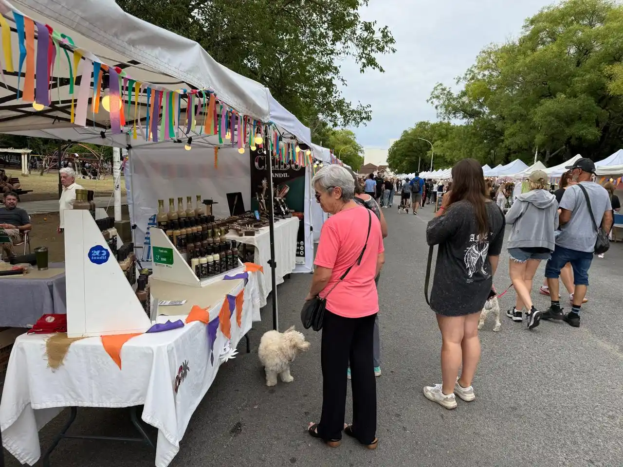 La Feria de la Comunidad Emprendedora se sumará al fin de semana largo en Tandil.