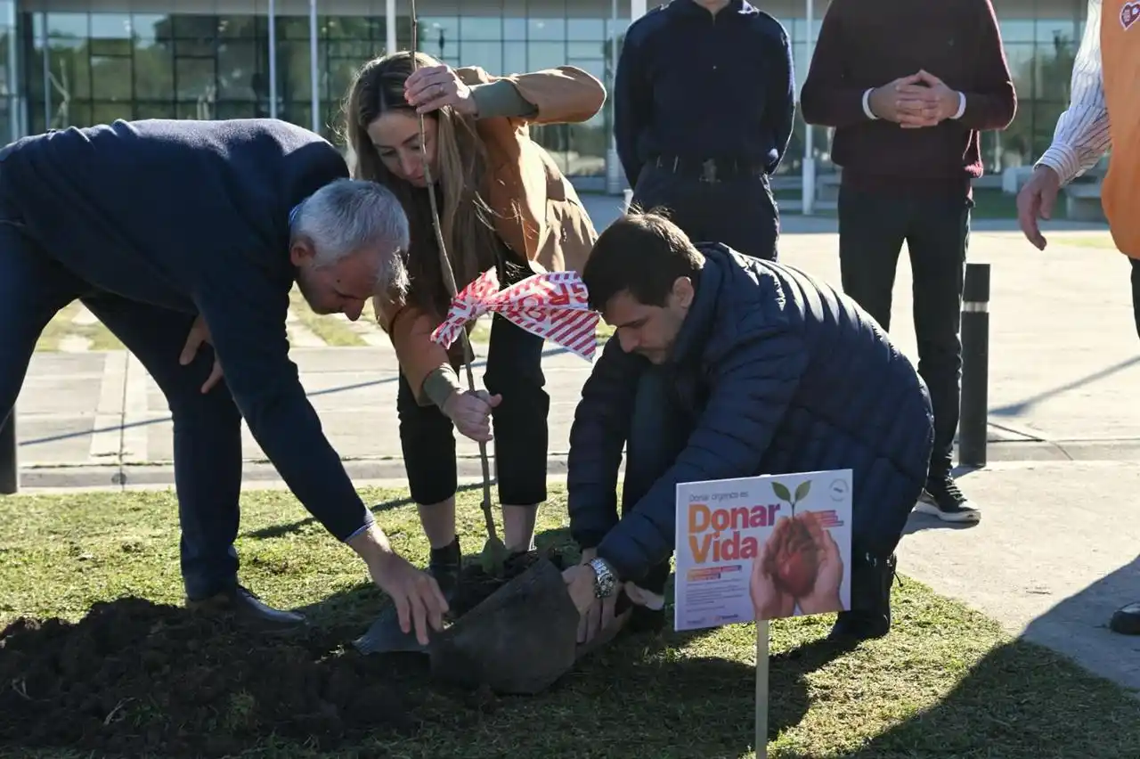 cudaio donación - 1