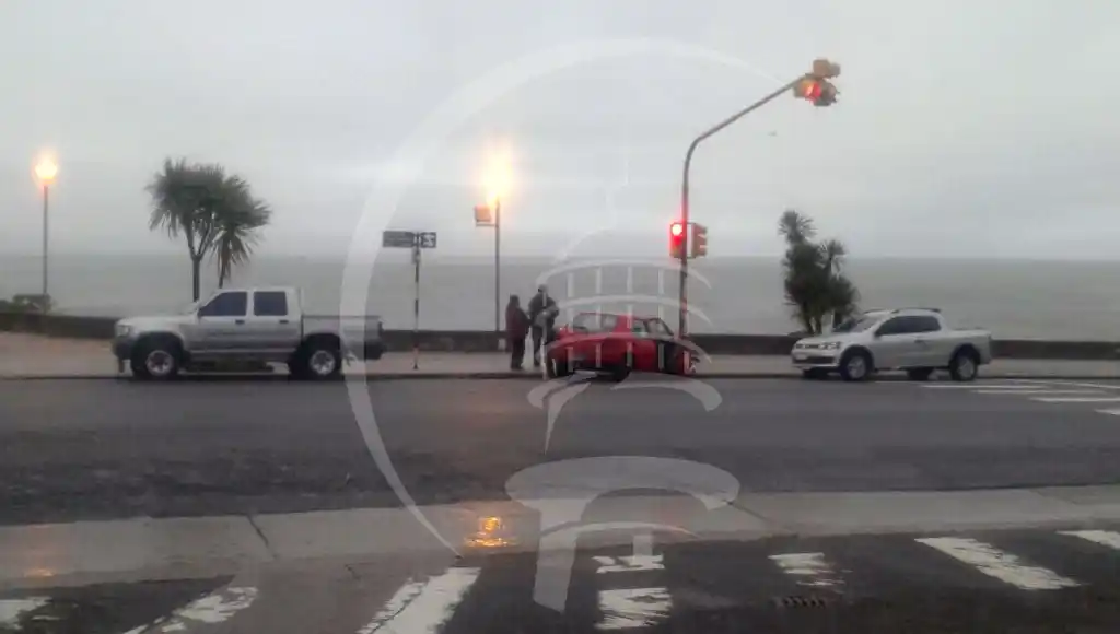 Chocó contra una palmera por los fuertes vientos