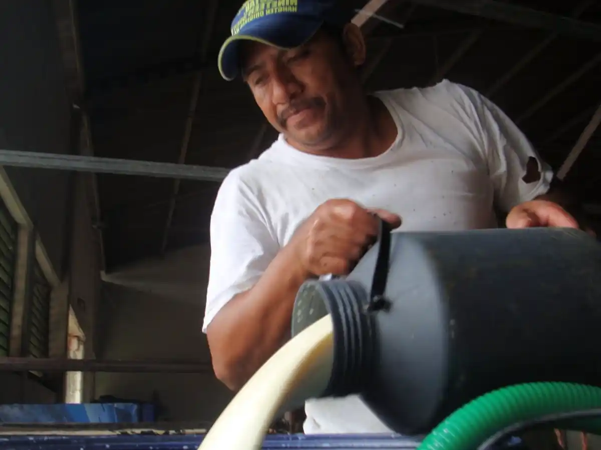 La caída en la producción láctea, la peor en 46 años 