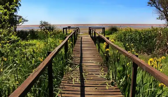 Seis atractivos turísticos de Punta Indio: Un destino para desconectarse en contacto con la naturaleza