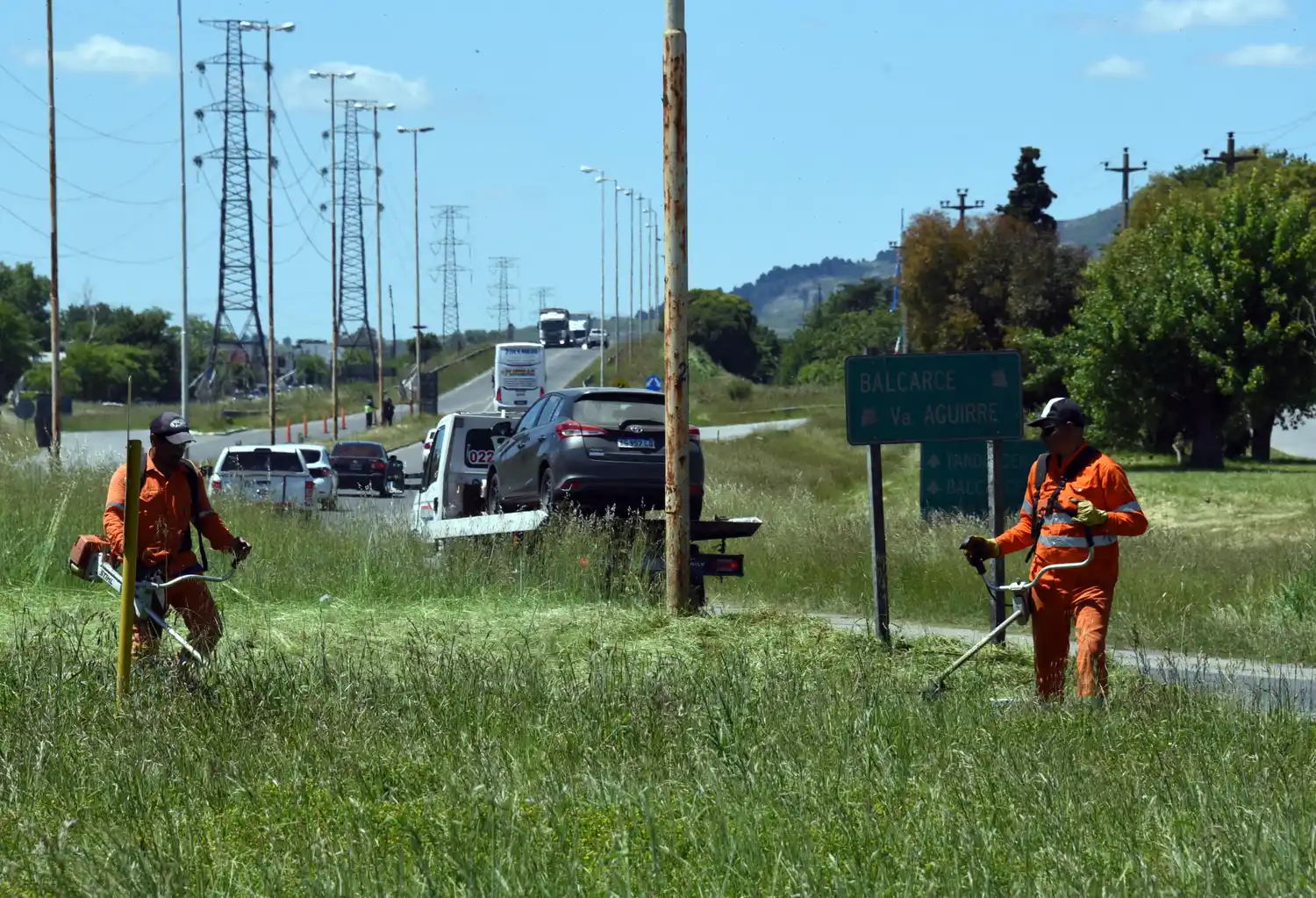 Corte de pastos en ruta 226 - 3