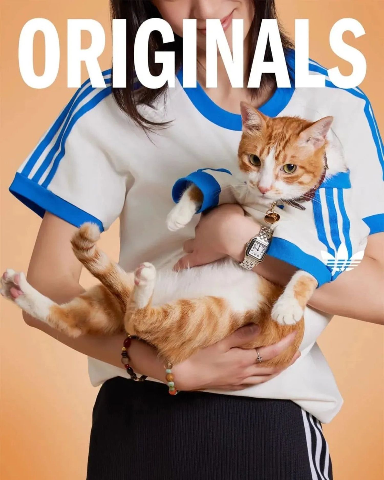 adidas mascotas - 4