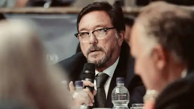 Las críticas de Guastavino a la iniciativa que crea la figura del arrepentido