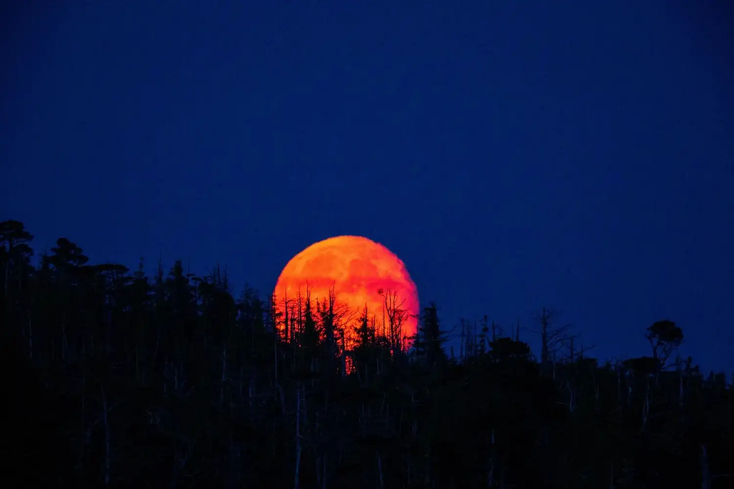 Eclipse lunar 2026: ¿cuándo será la “Luna de Sangre” que podrá verse desde Rafaela y la región? - 3