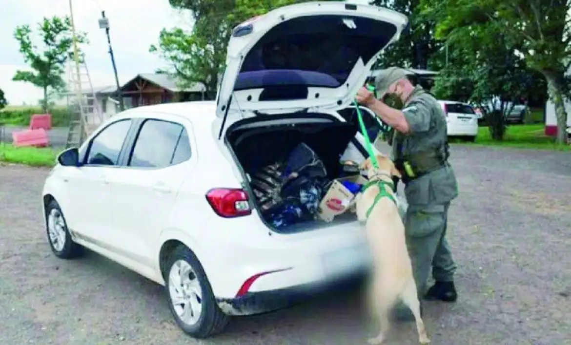 Condenaron a una mujer de Paraná por transportar marihuana en un auto 
