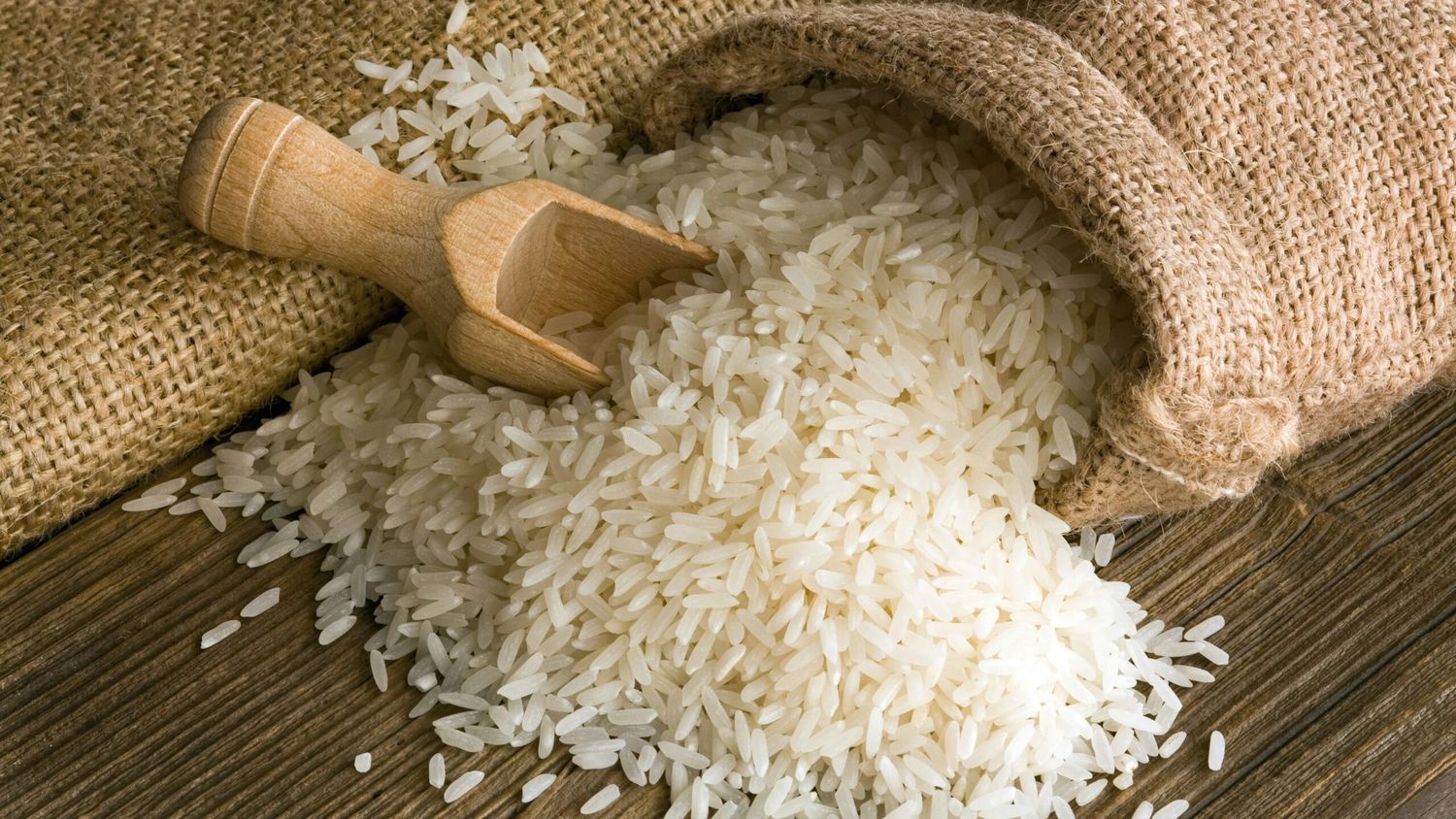 Científicos del Conicet descubren un arroz con 30% más proteínas