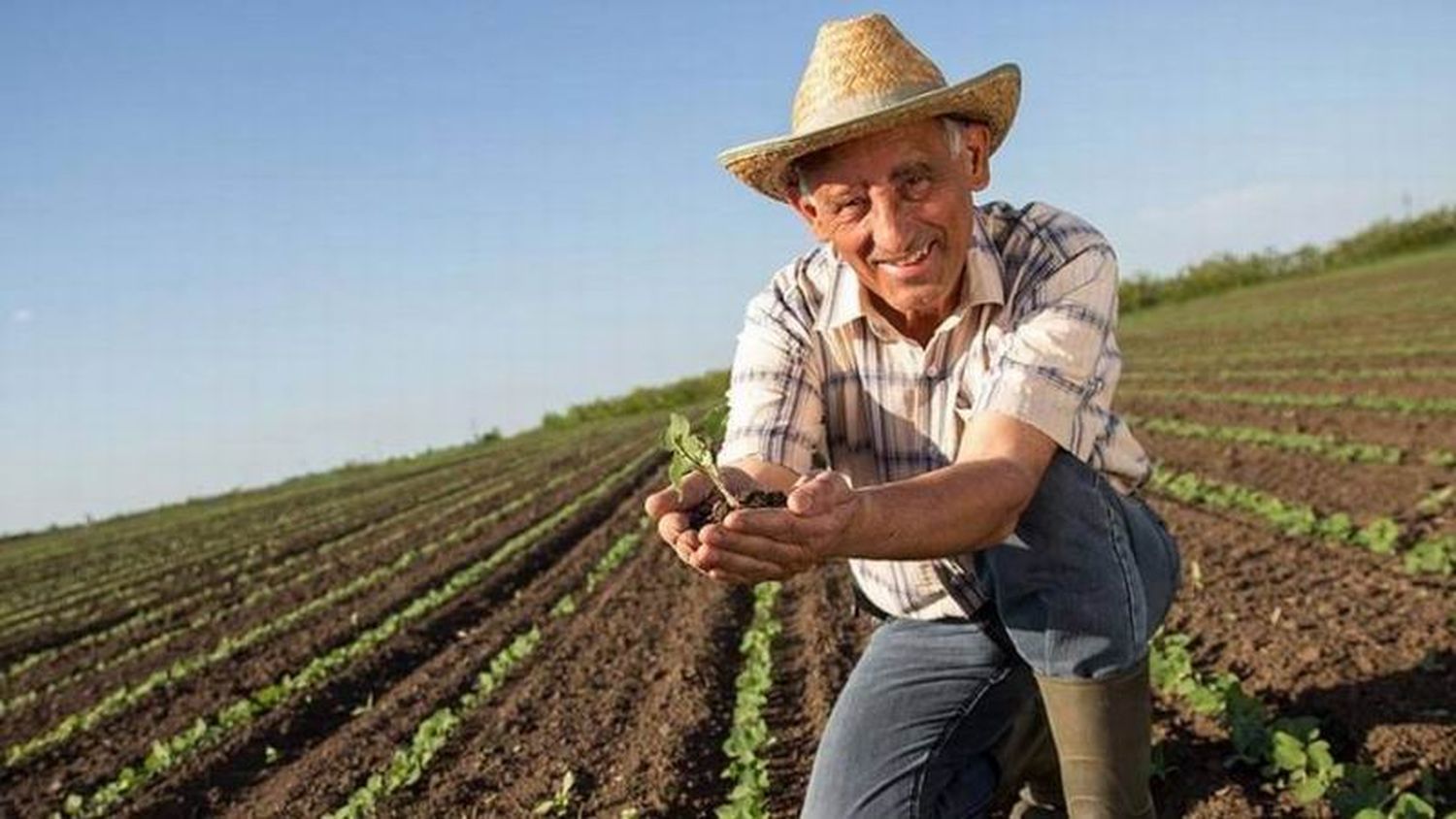 Qué es el Paippa, el plan de Formosa para
impulsar a los pequeños agro productores