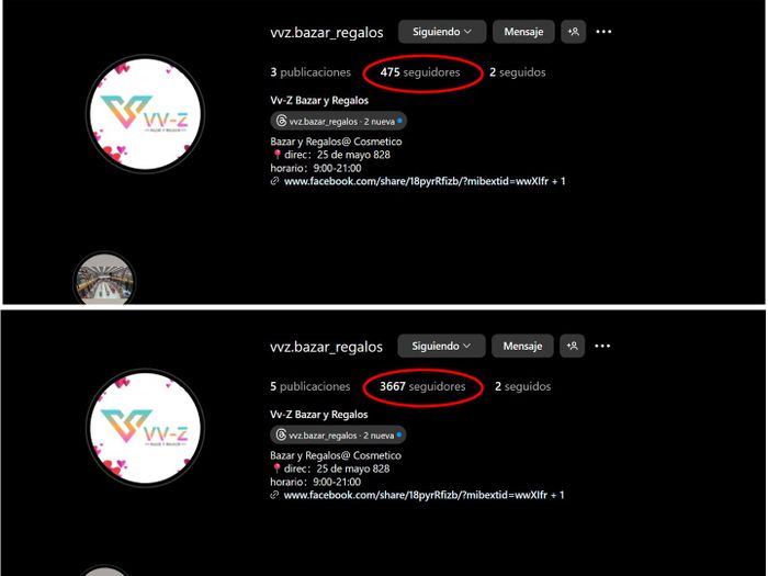 Seguidores de vvz