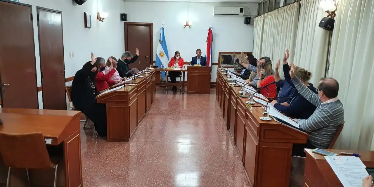 Foto archivo: Sesión HCD aprobando Ordenanza N° 53/2020