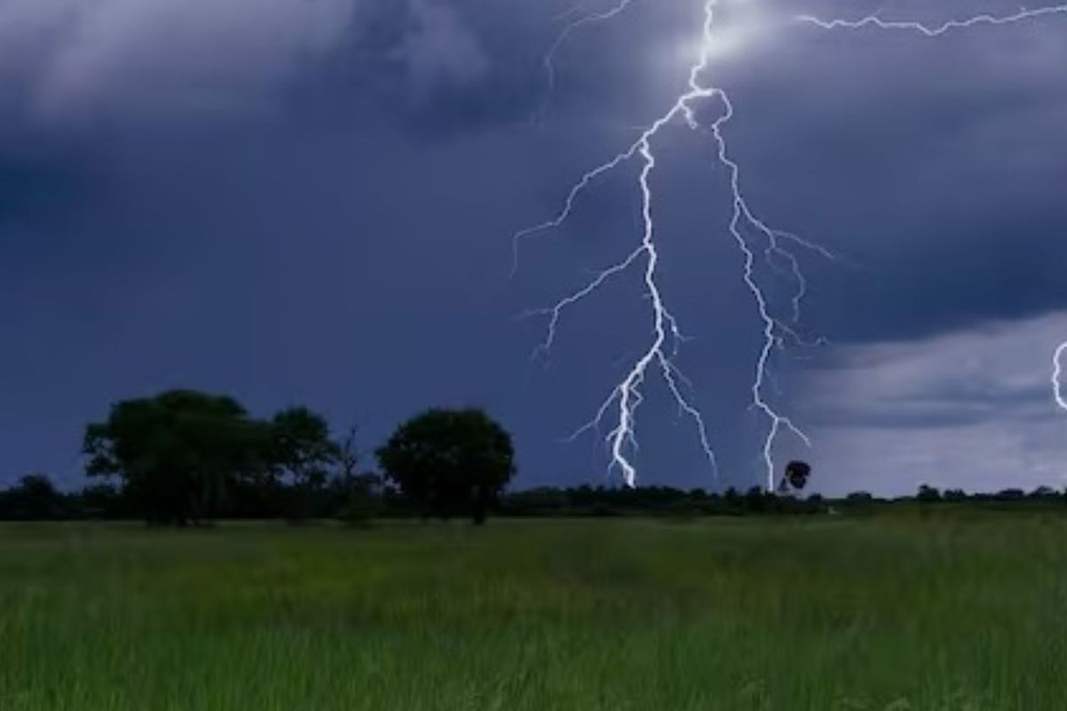 Tanto el hombre como su caballo perdieron la vida a causa de la descarga eléctrica.