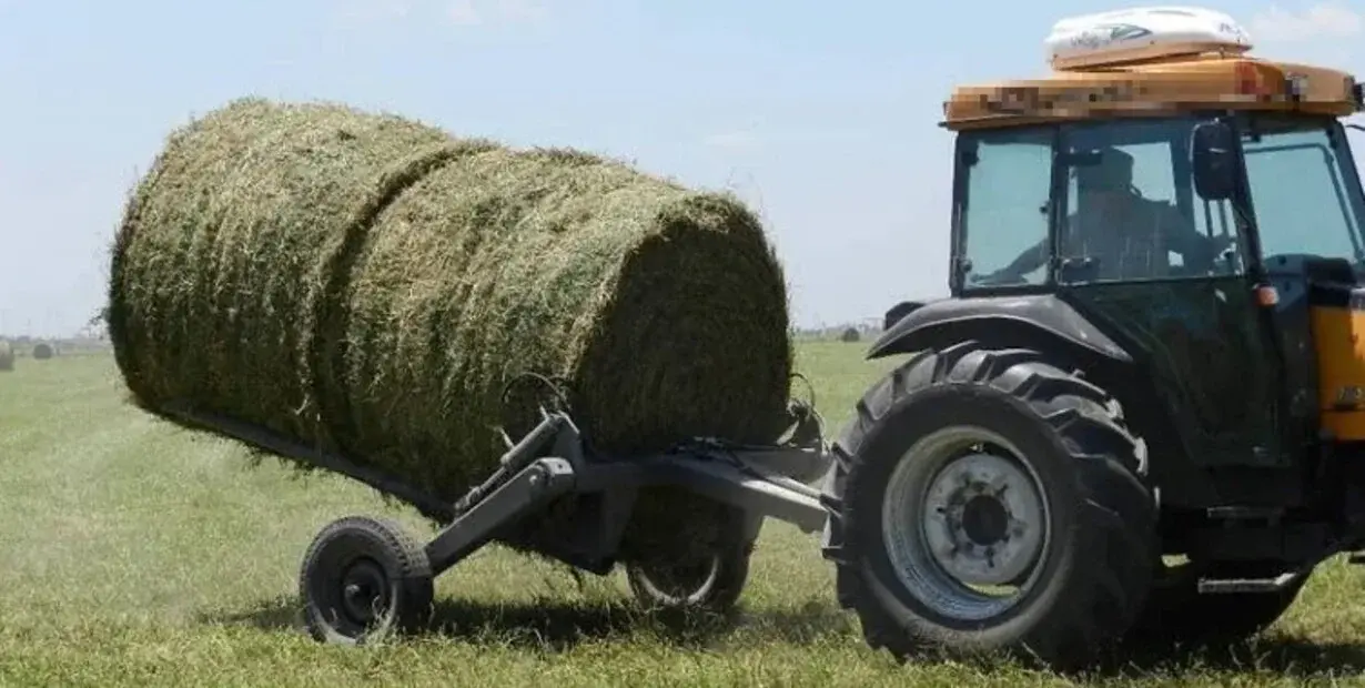 Miramar: un hombre murió decapitado tras chocar contra un tractor que circulaba con las luces tapadas