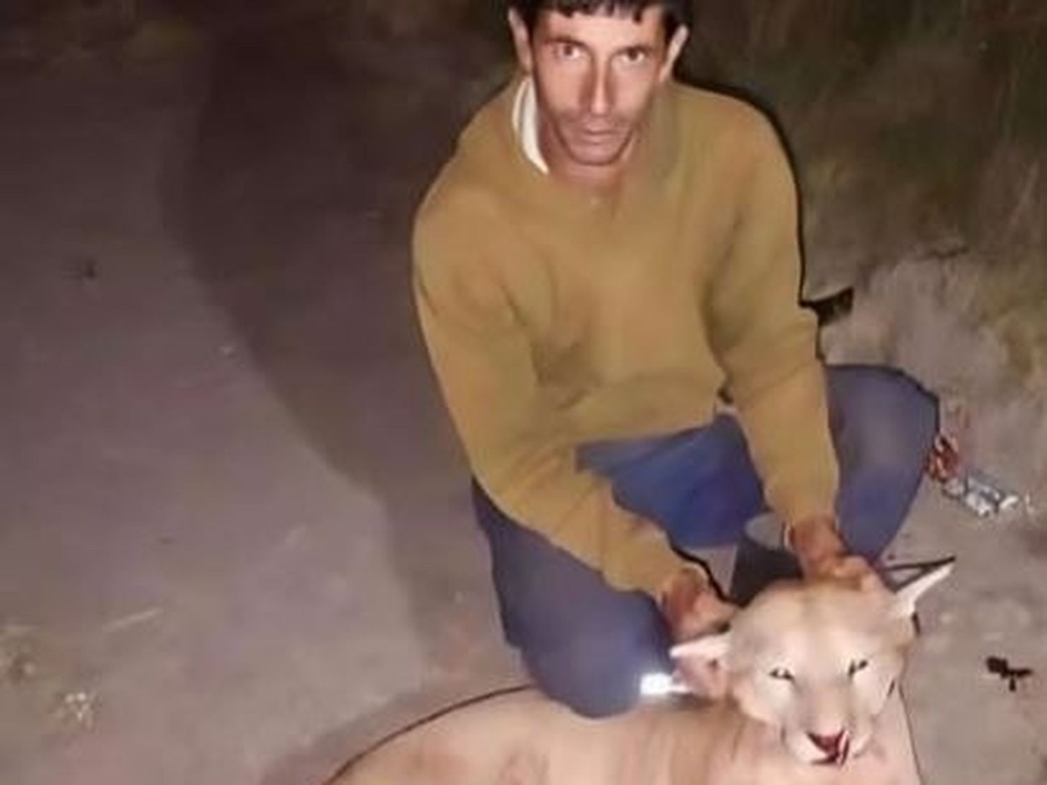 Allanaron al cazador que mató un puma en Larroque e investigan posibles agravantes de su delito