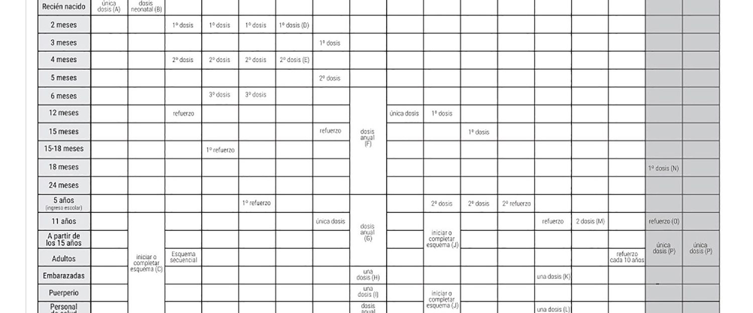 De cara al inicio del ciclo lectivo Salud insta a completar el Calendario Nacional de Vacunación en las infancias