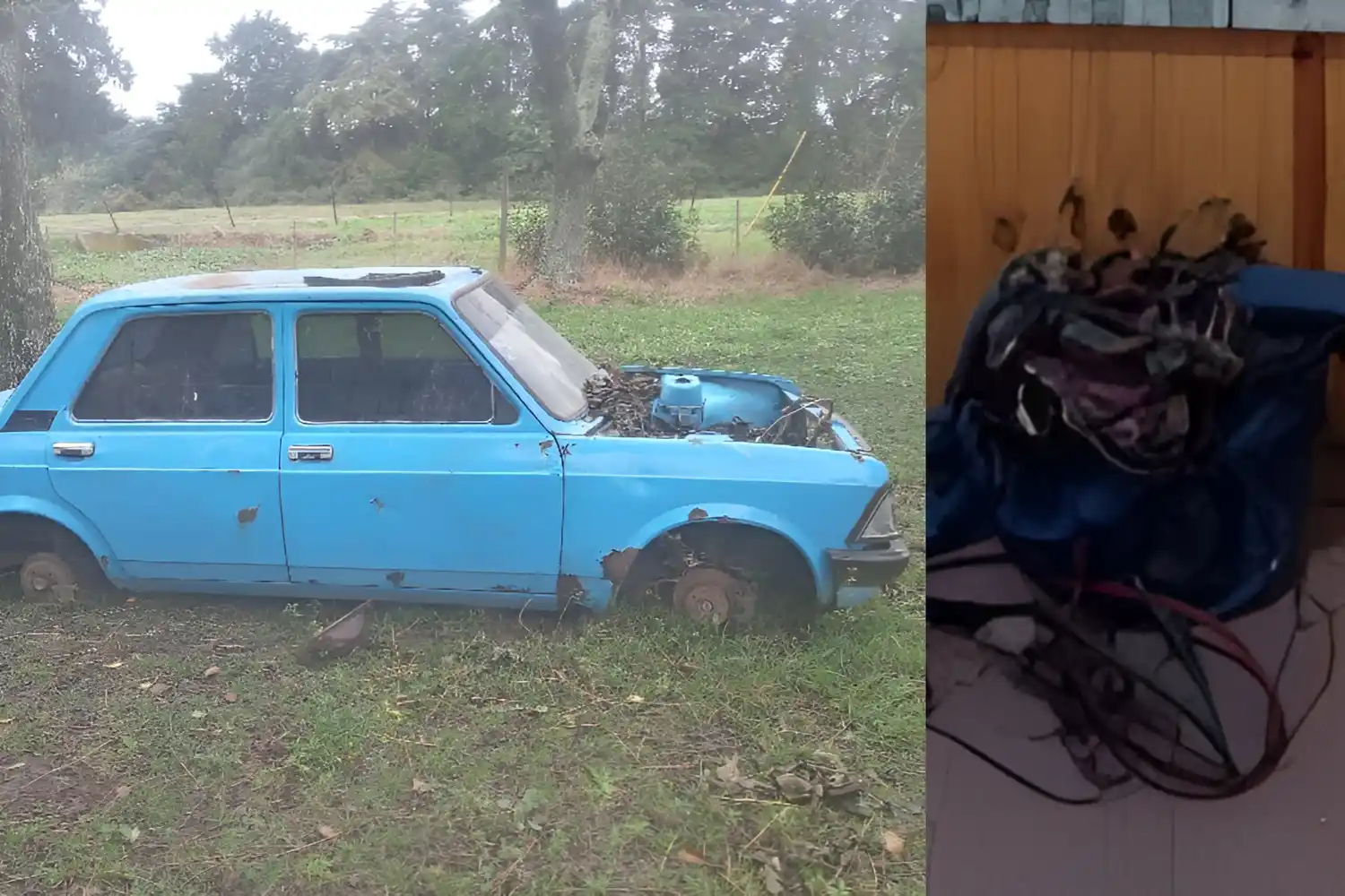 Los cables que sacó del coche, abandonado en el destacamento de Bomberos.